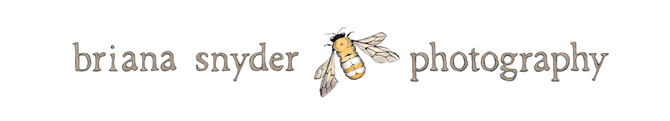 briana snyder photography logo